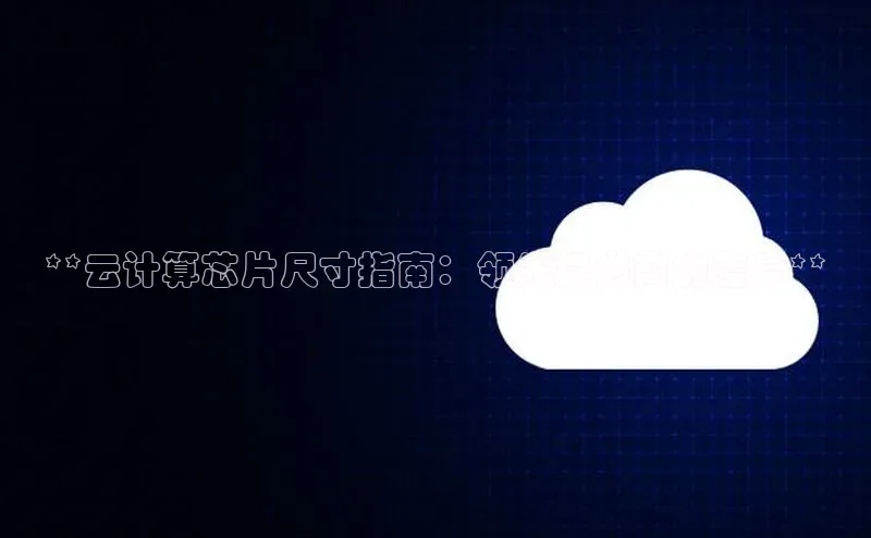杏鑫平台代理滴滴出行**云计算芯片尺寸指南：领先提供商的差异**