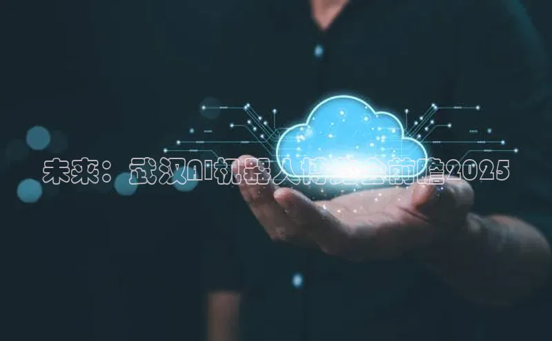 未来：武汉AI机器人博览会前瞻2025